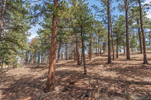 442 Ruby Forest Trail, Evergreen, CO 80439