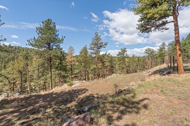 442 Ruby Forest Trail, Evergreen, CO 80439