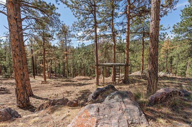 442 Ruby Forest Trail, Evergreen, CO 80439