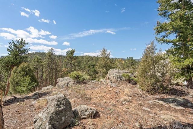 442 Ruby Forest Trail, Evergreen, CO 80439
