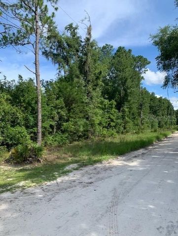 NW 25TH COURT, Branford, FL 32008