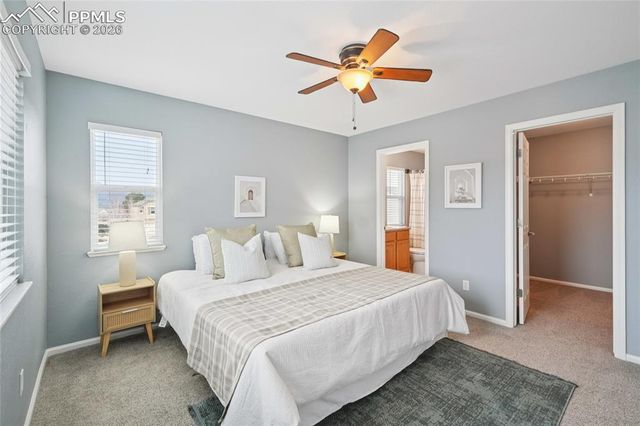 11514 Mountain Turtle Drive, Colorado Springs, CO 80921