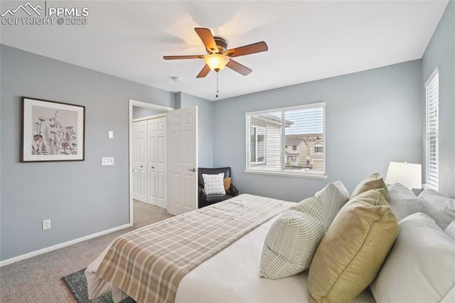 11514 Mountain Turtle Drive, Colorado Springs, CO 80921