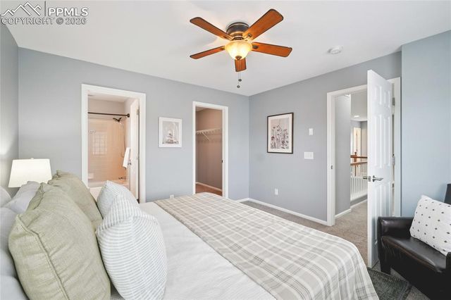 11514 Mountain Turtle Drive, Colorado Springs, CO 80921