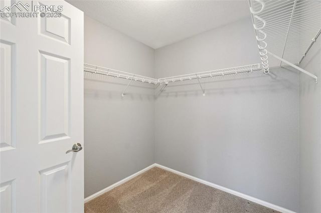 11514 Mountain Turtle Drive, Colorado Springs, CO 80921