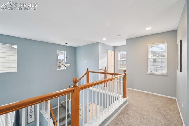 11514 Mountain Turtle Drive, Colorado Springs, CO 80921