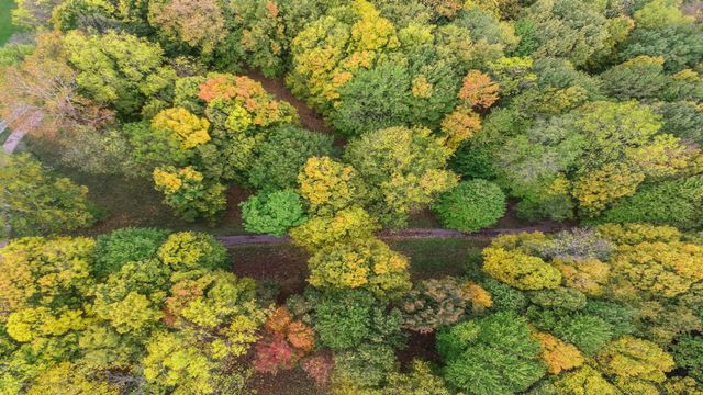 5563 Spring Creek Road, Three Oaks, MI 49128