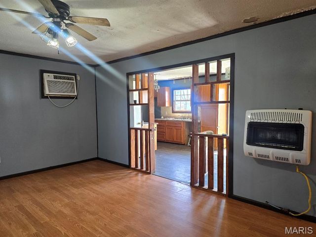 21850 S Sue Drive, Malden, MO 63863