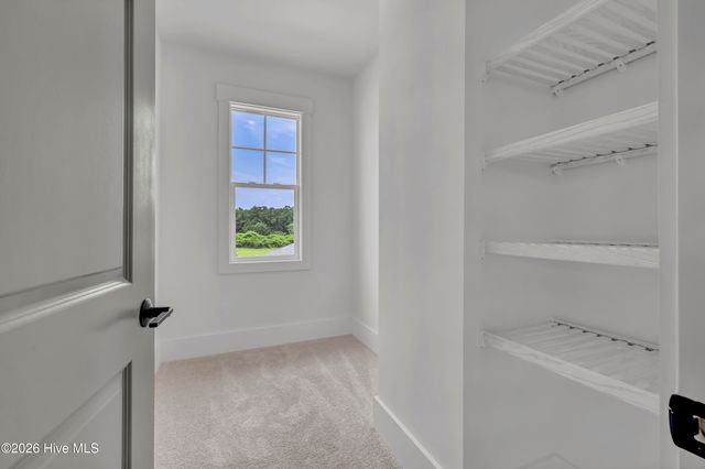 111 Dragonfly Lane, Hampstead, NC 28443