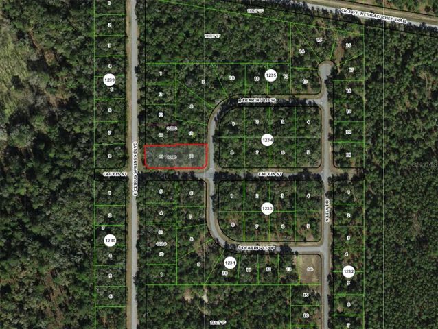 2054 E CITRUS SPRINGS BOULEVARD, Citrus Springs, FL 34434