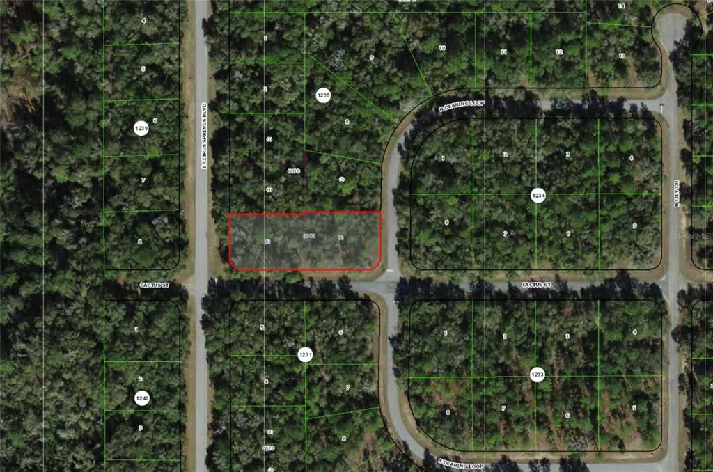 2054 E CITRUS SPRINGS BOULEVARD, Citrus Springs, FL 34434