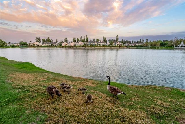 46 Thicket, Irvine, CA 92614
