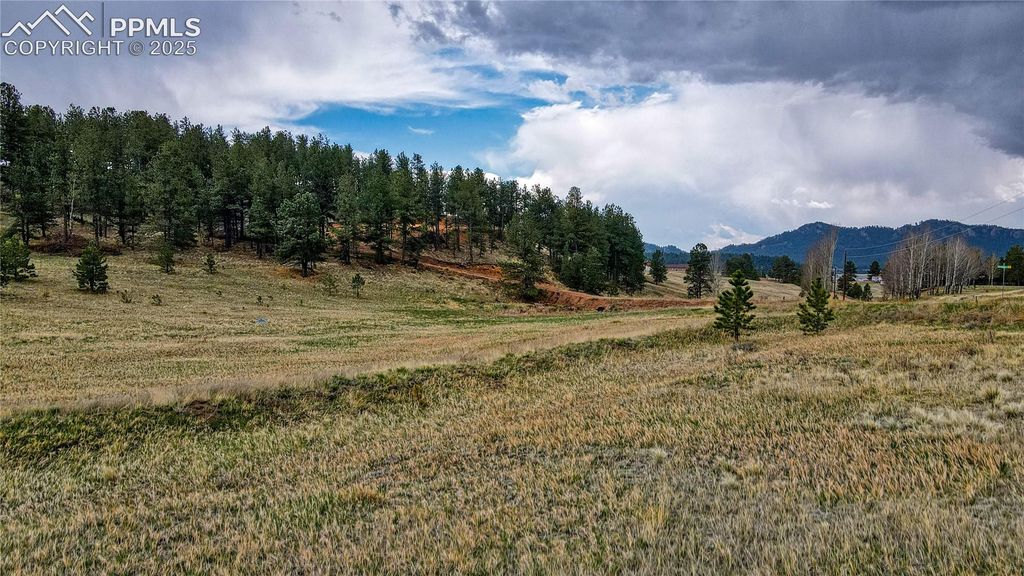 188 High Pasture Road, Florissant, CO 80816 — exterior