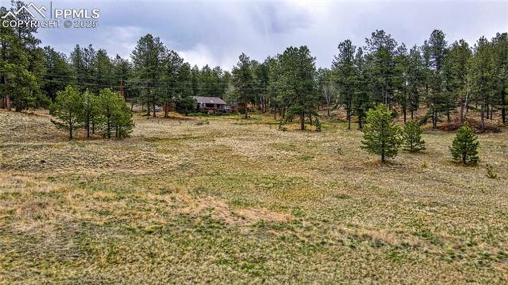 188 High Pasture Road, Florissant, CO 80816 — photo 4