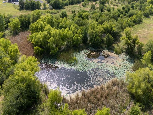1035 Palomino RD, Kyle, TX 78640