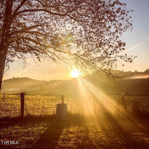 20217 Shadowood Circle, Meadowview, VA 24361