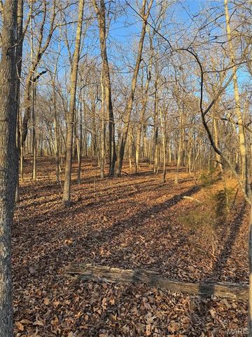 0 Texas Road, St Robert, MO 65584