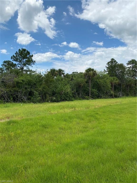 7235 Everglades BLVD N, NAPLES, FL 34120 — photo 4