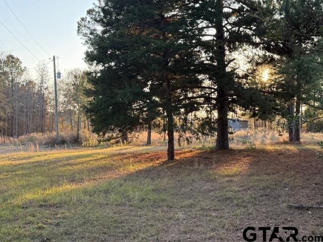 17410 County Road 366, Winona, TX 75792