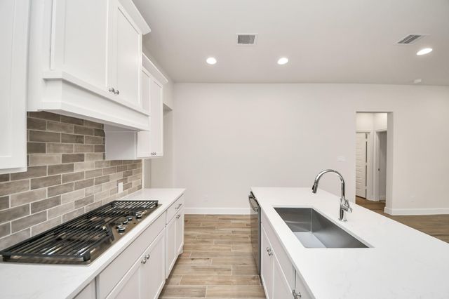 27315 Scarlet Paint Brush Drive, Hockley, TX 77447