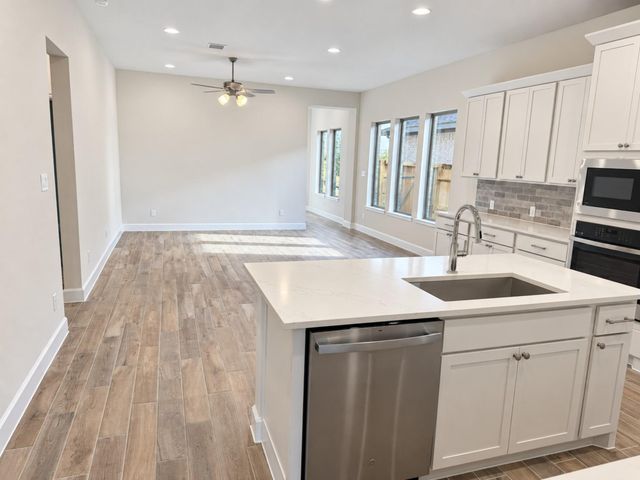 27315 Scarlet Paint Brush Drive, Hockley, TX 77447