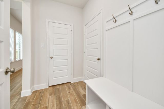27315 Scarlet Paint Brush Drive, Hockley, TX 77447
