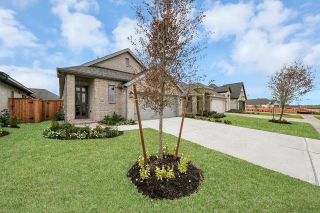 27315 Scarlet Paint Brush Drive, Hockley, TX 77447