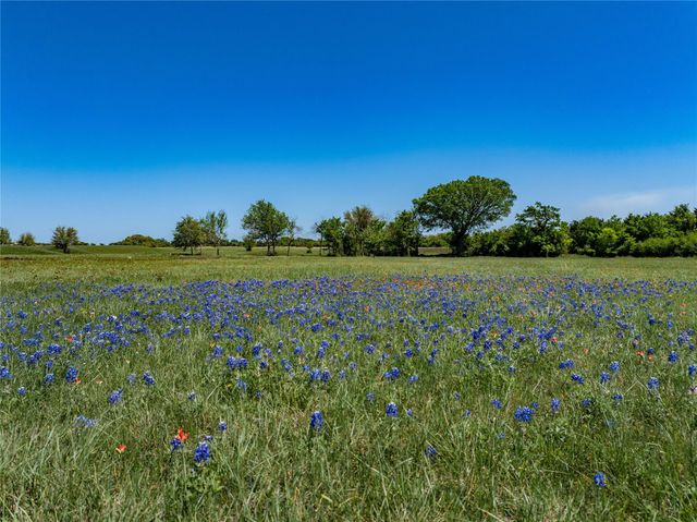 TBD W Fm 1291 Tract 1, Round Top, TX 78954