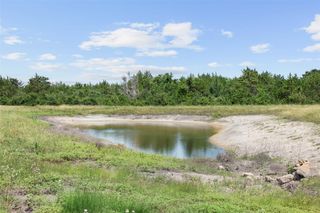 TBD W Fm 1291 Tract 1, Round Top, TX 78954