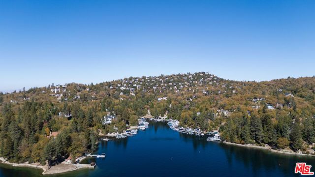 795 Zurich Drive, Lake Arrowhead, CA 92352