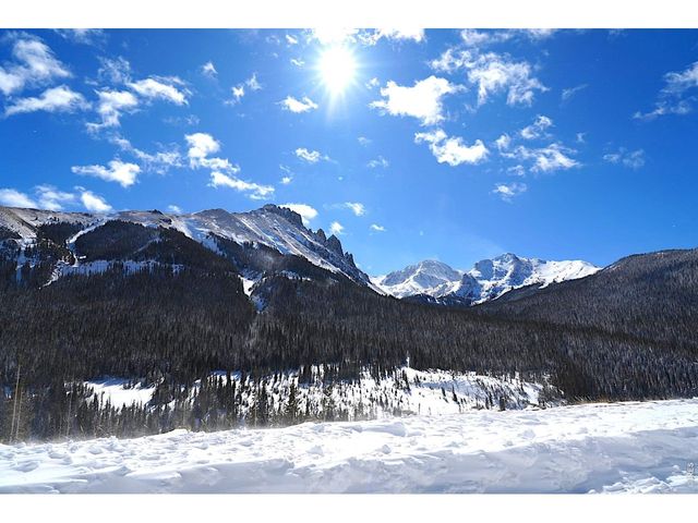 485 Anderson Ln, Walden, CO 80480
