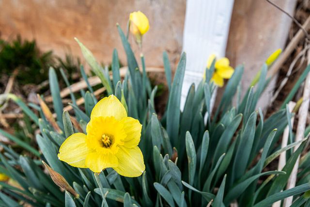 816 W State Street, Springfield, MO 65806