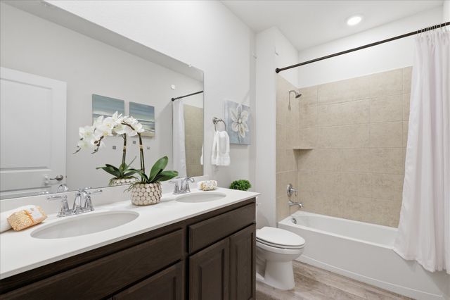 8230 Sitka Street, Frisco, TX 75035
