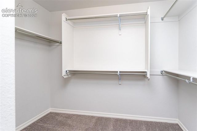 10147 Barbour Fork Court, Colorado Springs, CO 80924