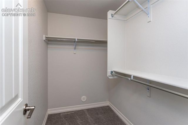 10147 Barbour Fork Court, Colorado Springs, CO 80924