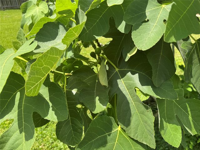 3319 Suiter Way, Pasadena, TX 77503