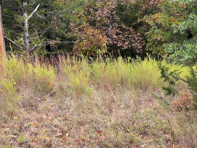 37 Gaines Creek, Canadian, OK 74425