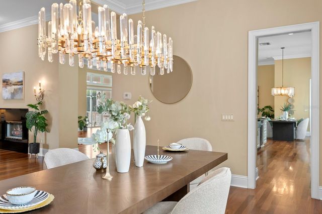 16504 AVILA BOULEVARD, Tampa, FL 33613