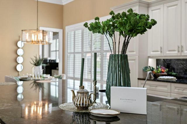 16504 AVILA BOULEVARD, Tampa, FL 33613