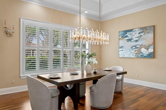 16504 AVILA BOULEVARD, Tampa, FL 33613