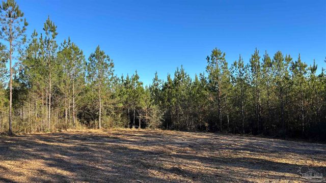 lot 59 Straw Bridge Rd, Allentown, FL 32565