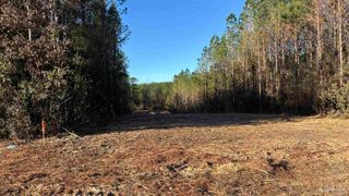 lot 59 Straw Bridge Rd, Allentown, FL 32565