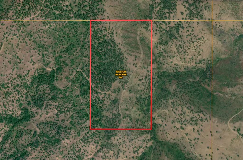 31022 Beavertail Road, Clinton, MT 59825 photo 29