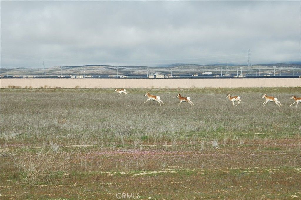 0 Arrow Bear Trail, California Valley, CA 93453