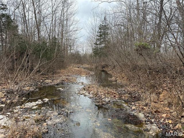 Tract 2 & 3 off Madison 248, Fredericktown, MO 63645