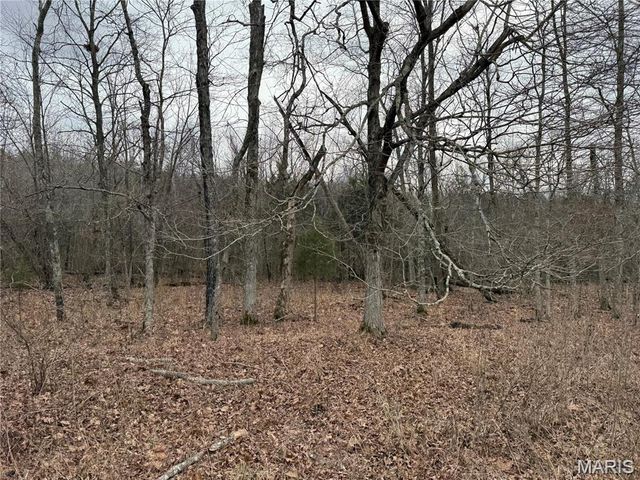 Tract 2 & 3 off Madison 248, Fredericktown, MO 63645