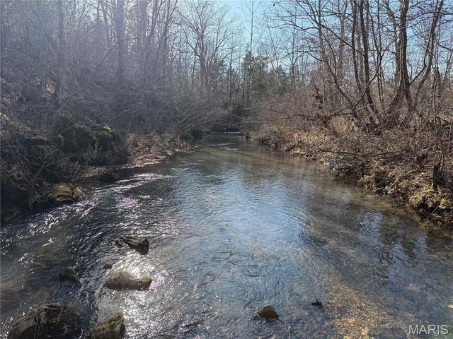 Tract 2 & 3 off Madison 248, Fredericktown, MO 63645