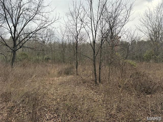 Tract 2 & 3 off Madison 248, Fredericktown, MO 63645