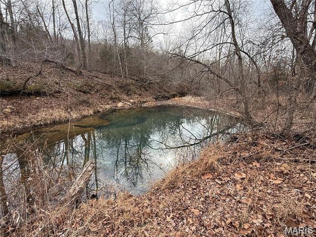 Tract 2 & 3 off Madison 248, Fredericktown, MO 63645