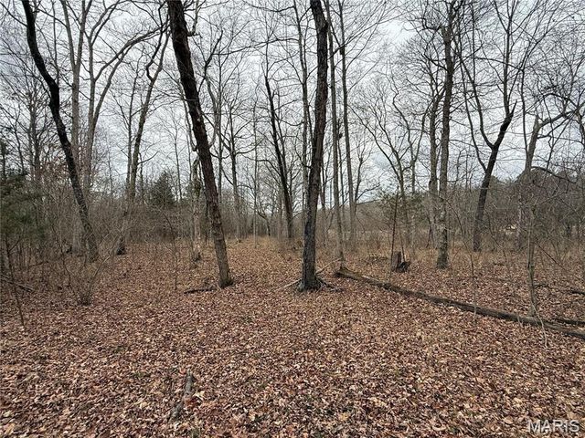 Tract 2 & 3 off Madison 248, Fredericktown, MO 63645